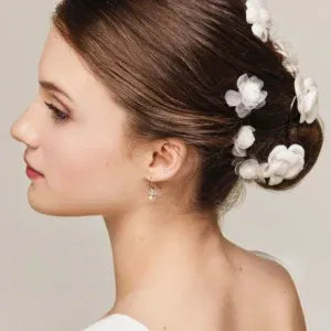 BODKINS CAMELIAS 博德金斯山茶花